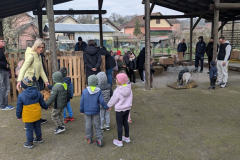 viber_slika_2026-04-02_10-43-07-622_1024x576