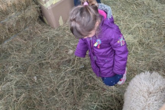 viber_slika_2026-04-02_10-43-07-991_432x768