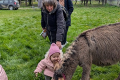 viber_slika_2026-04-02_11-41-31-742_432x768