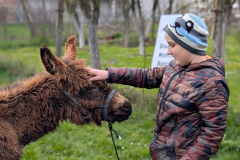 viber_slika_2026-04-02_11-41-31-757_1024x576