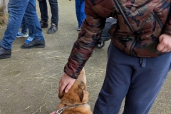 viber_slika_2026-04-02_11-41-31-904_432x768