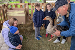 viber_slika_2026-04-02_11-41-33-689_1024x576