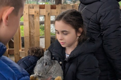 viber_slika_2026-04-02_11-41-35-962_432x768