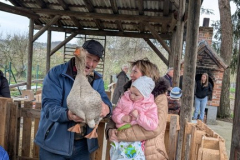 viber_slika_2026-04-02_11-41-36-122_432x768