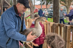 viber_slika_2026-04-02_11-41-59-516_432x768