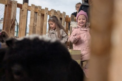 viber_slika_2026-04-02_11-42-00-156_432x768