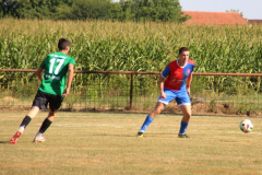 IMG_3428_1024x683