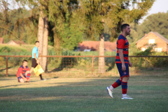 IMG_3672_1024x683