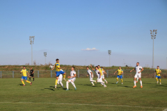 IMG_6910_1024x683