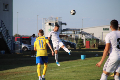 IMG_6911_1024x683