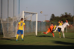 IMG_7031_1024x683