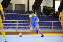 IMG_4026_1024x683