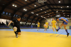 IMG_4035_1024x683