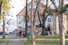 IMG_9142_1024x683
