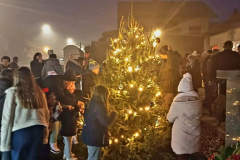 viber_slika_2025-12-20_21-07-47-401_576x768