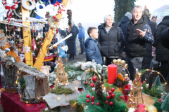 IMG_6369_1024x683