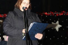 viber_slika_2025-12-20_19-33-21-618_599x768