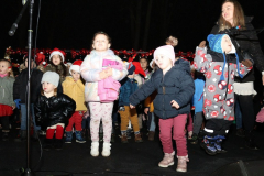 viber_slika_2025-12-20_19-33-41-859_1024x621