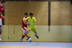 IMG_9244_1024x683