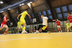 IMG_9361_1024x683