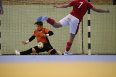 IMG_9367_1024x683