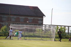 IMG_1330_1024x683