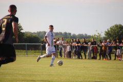 IMG_1350_1024x683