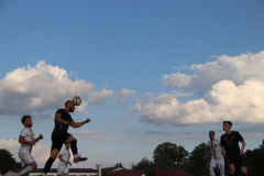 IMG_1594_1024x683