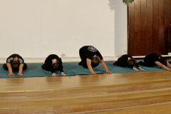 IMG_6819_1024x449
