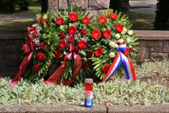 IMG_9851_1024x683