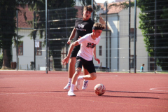 IMG_6413_1024x683