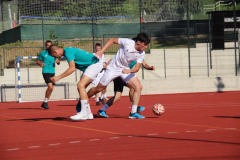 IMG_6536_1024x683