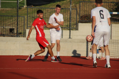 IMG_6680_1024x683