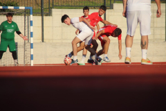IMG_6719_1024x683