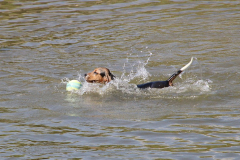 IMG_5761_1024x624