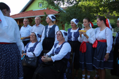 IMG_8071_1024x683