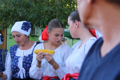 IMG_8072_1024x683