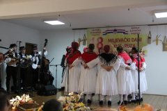 IMG_8221_1024x683