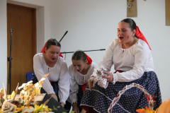 IMG_8264_1024x683