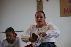 IMG_8268_1024x683
