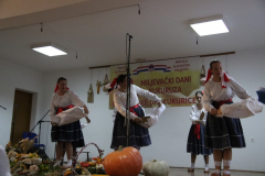 IMG_8273_1024x683