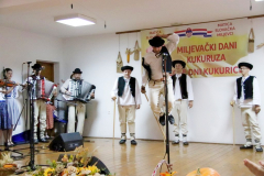 IMG_8393_1024x683