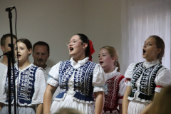 IMG_8423_1024x683