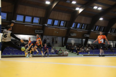 IMG_7793_1024x683