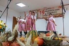 IMG_0493_1024x683