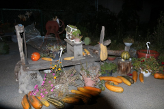 IMG_0739_1024x683