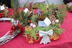 IMG_9629_1024x683
