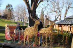 IMG_7939_1024x683
