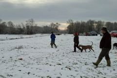 11_576x768