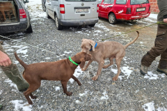 WhatsApp-Image-2026-02-21-at-18.41.12_1024x768